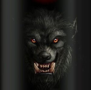 Meet your Posher, Cody